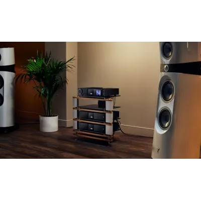 Naim New Classic NAP 250 a Ginevra | Digistore.ch